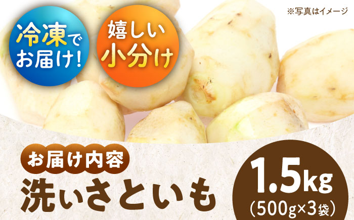 【冷凍】【9月下旬より順次発送】小分けがうれしい！洗い里芋500g×3袋　愛媛県大洲市/沢井青果有限会社 [AGBN039]里芋 和食 朝ごはん 里芋の煮っころがし 里芋の煮物 里芋コロッケ 味噌汁 