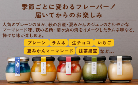 定期便 6ヶ月 プリン セット 食べ比べ 6個入 萩ぷりん亭 定番セット デザート お菓子 6回 お楽しみ ※配送不可：離島