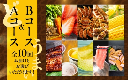 どうまい定期便 全5回 Bコース 定期便 田原市