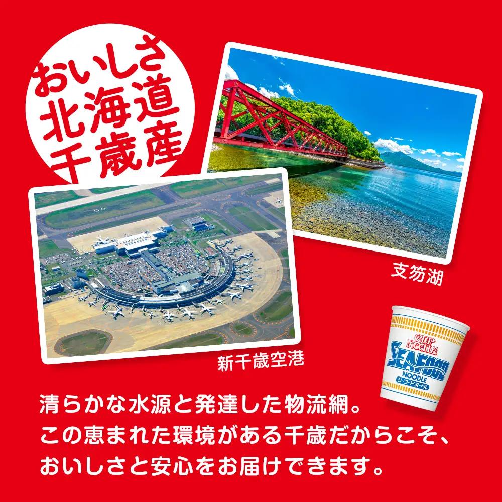 10営業日以内発送 日清★ シーフードヌードル★2箱 合計40食