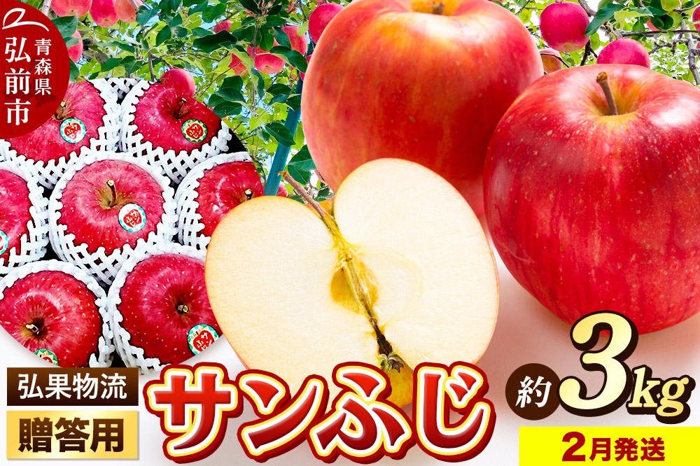 【寄附金額見直しました】【26年2月発送】りんご 贈答用 サンふじ 約3kg