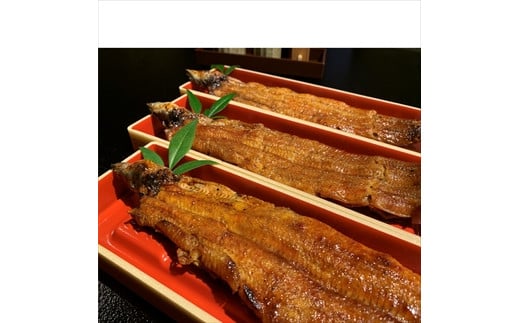 うなぎ辻判　国産鰻炭火蒲焼き　3尾