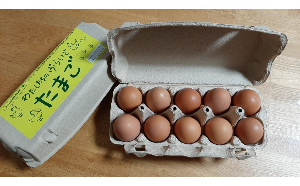 【定期便：12か月】単なる平飼いではない『わたしたちのぷらいどたまご』6パック（60個）セット 141305_GX05