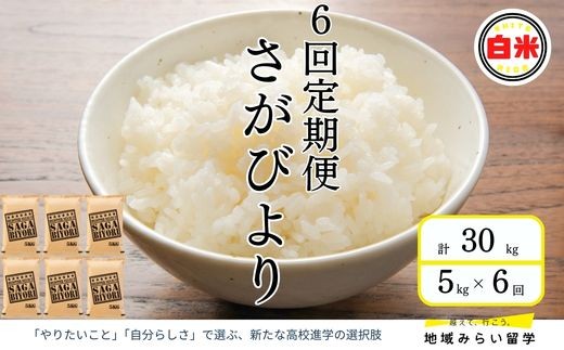 
                  【定期便】お米定期便(連続6回/さがびより5kg)
                