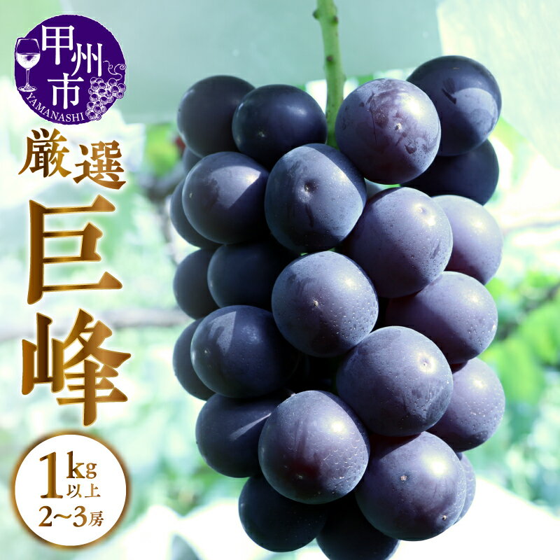 【ふるさと納税】 巨峰 ぶどう 1kg以上 2～3房 果物 甲州市産 厳選 2025年発送 果実 フルーツ 山梨 黒ブドウ 葡萄 期間限定 数量限定 贈答 ギフト 家庭用 8月 9月 10月 発送 （APX） 【B-871】