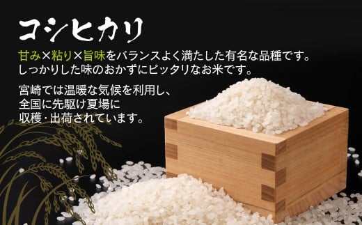 3ケ月定期便 令和7年産 新米こしひかり 『この華米』10kg×3 合計30kg＜9-12＞精米 白米 コシヒカリ 