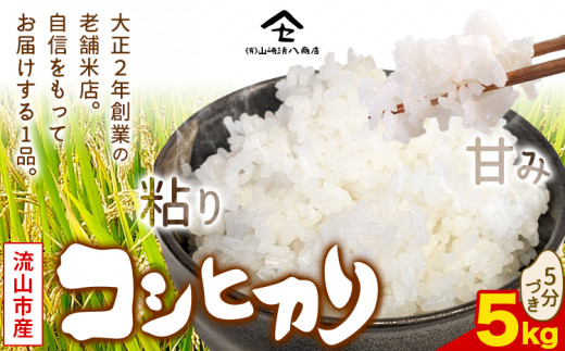 コシヒカリ 米 5kg 新川耕地 5分づき《30日以内に発送予定(土日祝除く)》 単発 千葉県 流山市 送料無料 米 こめ ごはん st-p