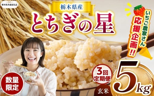 訳あり【令和7年度産米】【栃木県共通返礼品】【数量限定】【3回定期便】栃木県産にじのきらめき 5kg |定期便 にじのきらめき 数量限定  玄米 米 ごはん  玄米密閉パック ふるさと納税 那珂川町 栃木県