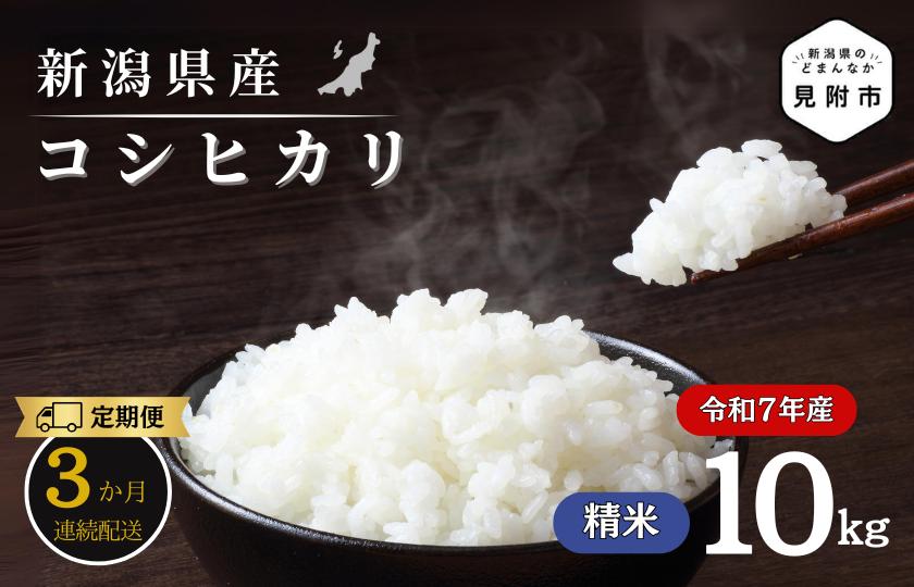 【3か月定期便】R7年産 新潟県産 コシヒカリ 10kg （精米）新米 お米 白米 コシヒカリ こしひかり おすすめ 人気 こめ コメ 新潟 見附 見附市 7年 2025年産 ふるさと納税 諸長