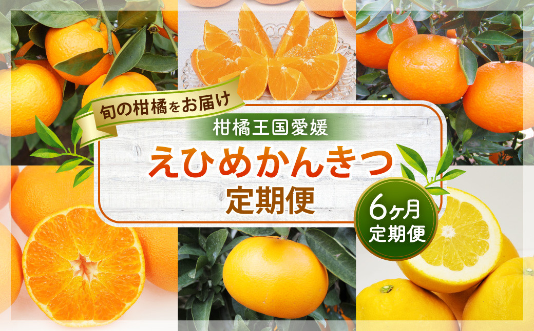 
【6ヶ月定期便】 えひめかんきつ定期便（11月～4月お届け） 柑橘 オレンジ みかん 晩柑 紅まどんな 伊予柑 甘平 せとか 河内晩柑 果物 くだもの フルーツ（046）
