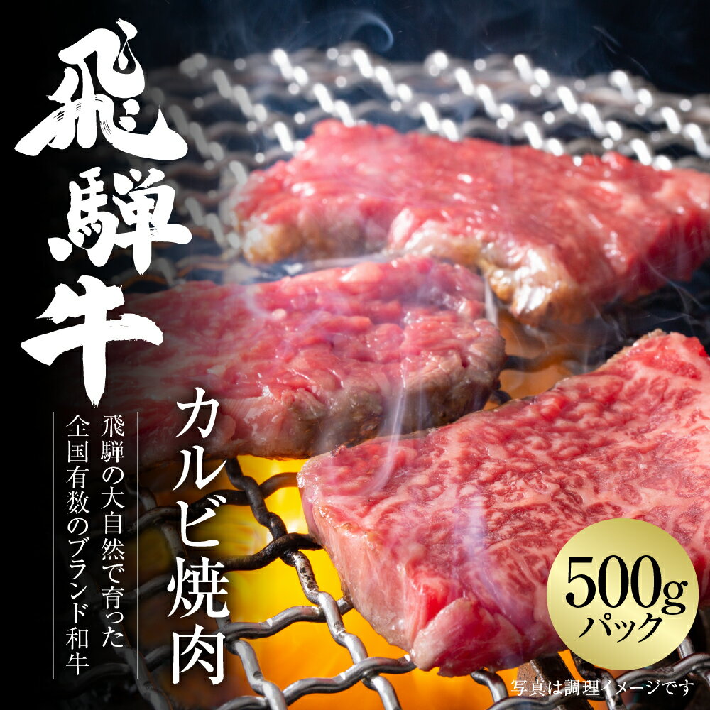 【ふるさと納税】飛騨牛 カルビ焼肉 500g 冷凍真空パック | 肉 お肉 焼肉 焼き肉 やきにく 黒毛和牛 和牛 人気 おすすめ 牛肉 ギフト お取り寄せ [MZ037]