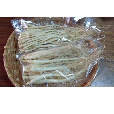 ふるさと納税 長野県 生高麗人参 2年生 細物 約300g【 栽培期間中低農薬 】信州産 朝鮮人参 国産 |  | 01