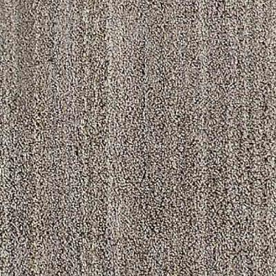 ふるさと納税 和泉市 【サイズ140×200cm】カーペットラグ　さらさらふわふわ長続き(リュストル)　色:グレージュ |  | 03