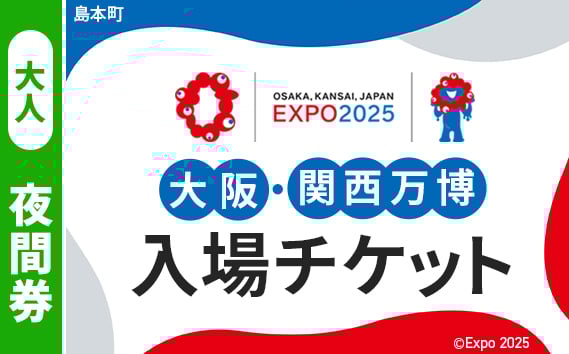 
            No.160 2025年日本国際博覧会入場チケット 夜間券（大人）【島本町返礼品】 ／ 万博 EXPO 2025 大阪万博 関西万博 夢洲 入場券 大阪府
          