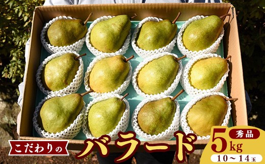
            山形県産 西洋梨 秀品「バラード」5kg（10玉 - 14玉）令和7年産【2025年10月上旬頃から中旬頃発送予定】014-B-HK012
          