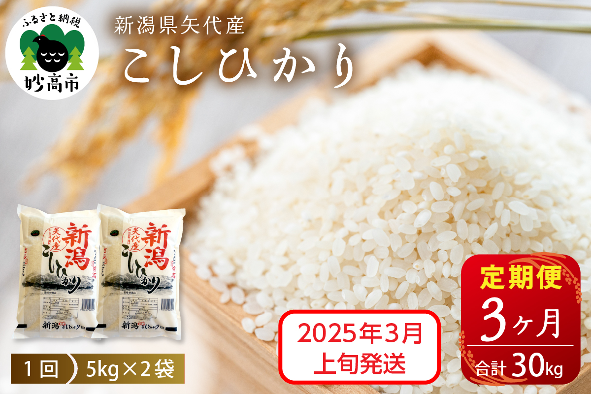 【2025年3月上旬発送】【定期便】令和6年産 新潟県矢代産コシヒカリ10kg(5kg×2袋)×3回（計30kg）