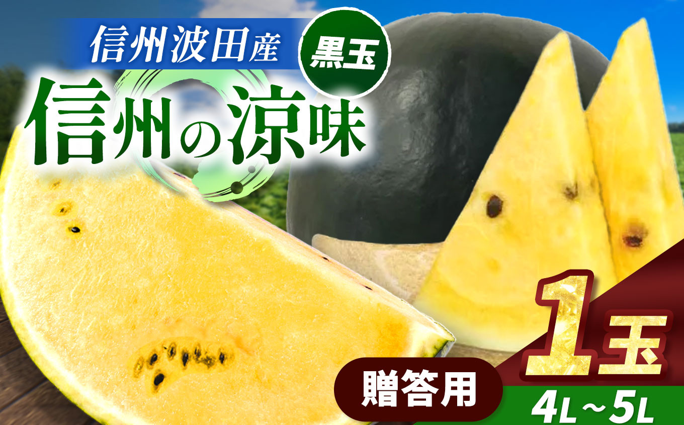 
            【先行受付：2026年7月発送】信州波田産 高級 黒玉スイカ！信州の涼味 【贈答】 4L～5Lサイズ 1玉｜ふるさと納税 長野県 信州 松本 果物 フルーツ すいか スイカ 西瓜 贈答 季節限定 甘い くだもの ふるーつ
          