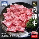 【ふるさと納税】【定期便6ヶ月】牛肉 飛騨牛 焼き肉 セット 赤身 モモ 又は カタ 600g 黒毛和牛 A5 美味しい お肉 牛 肉 和牛 焼肉 BBQ バーベキュー 【岐阜県瑞穂市】　定期便