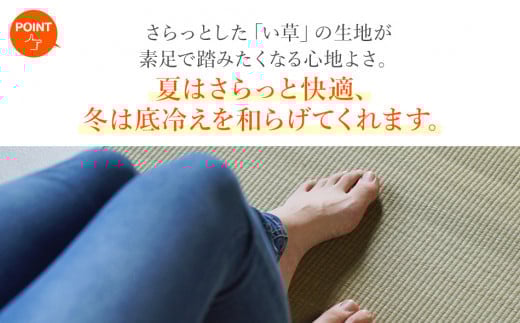 い草irucicoカーペットみらい140×140ｃｍ　AA336