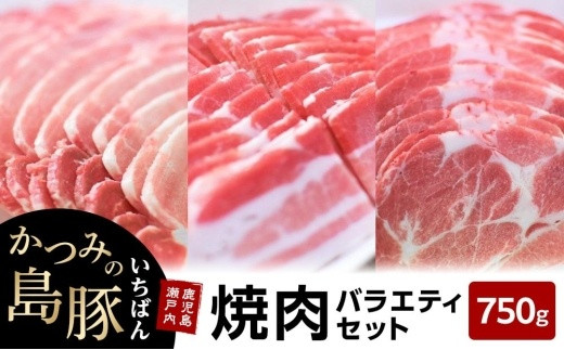 
            かつみの島豚いちばん焼肉バラエティセット750g（250g×3パック）
          