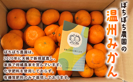 ＜ぼちぼち農園の温州みかん 家庭用 5kg＞ 5キロ うんしゅうみかん 温州ミカン 訳あり わけあり ワケアリ 果物 みかん ミカン 柑橘 フルーツ 国産 特産品 ぼちぼち農園 愛媛県 西予市【常温】