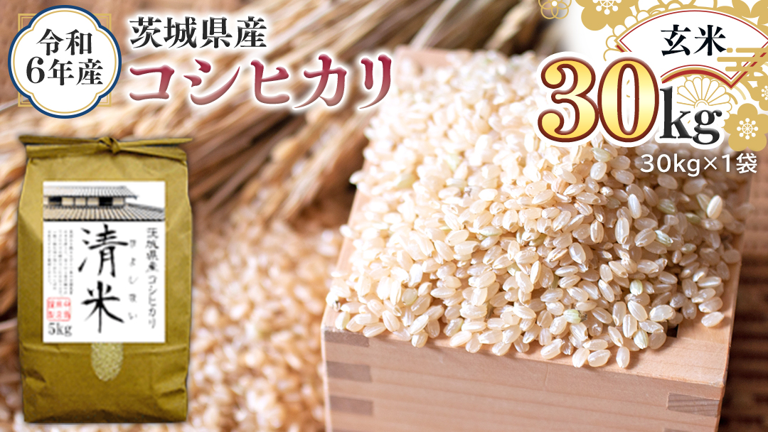 令和6年産 茨城県産 玄米 コシヒカリ 30kg（30kg×1袋） 清米 キヨシマイ こしひかり 米 コメ こめ 単一米 限定 茨城県産 国産 美味しい お米 おこめ おコメ
