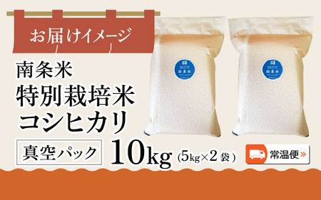 【先行予約】【令和6年産】南条米 特別栽培米コシヒカリ 真空パック 10kg(5kg×2袋)【2024年10月上旬から順次発送】[B-011004]
