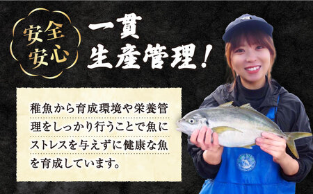 トラ フグ 下処理済み あら 480g（240g×2パック）＜大島水産種苗＞ [CBW009] 長崎 西海 14000 14000 魚 海鮮 下処理済み フグ ふぐ ふく フク トラフグ とらふぐ 西