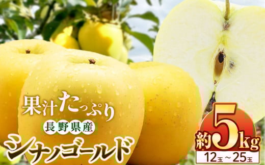 【林檎の名産地】信州松本梓川産　シナノゴールド 5kg(12～25玉)｜ふるさと納税 松本市 シナノゴールド りんご 林檎  果物 フルーツ 信州 美味しい