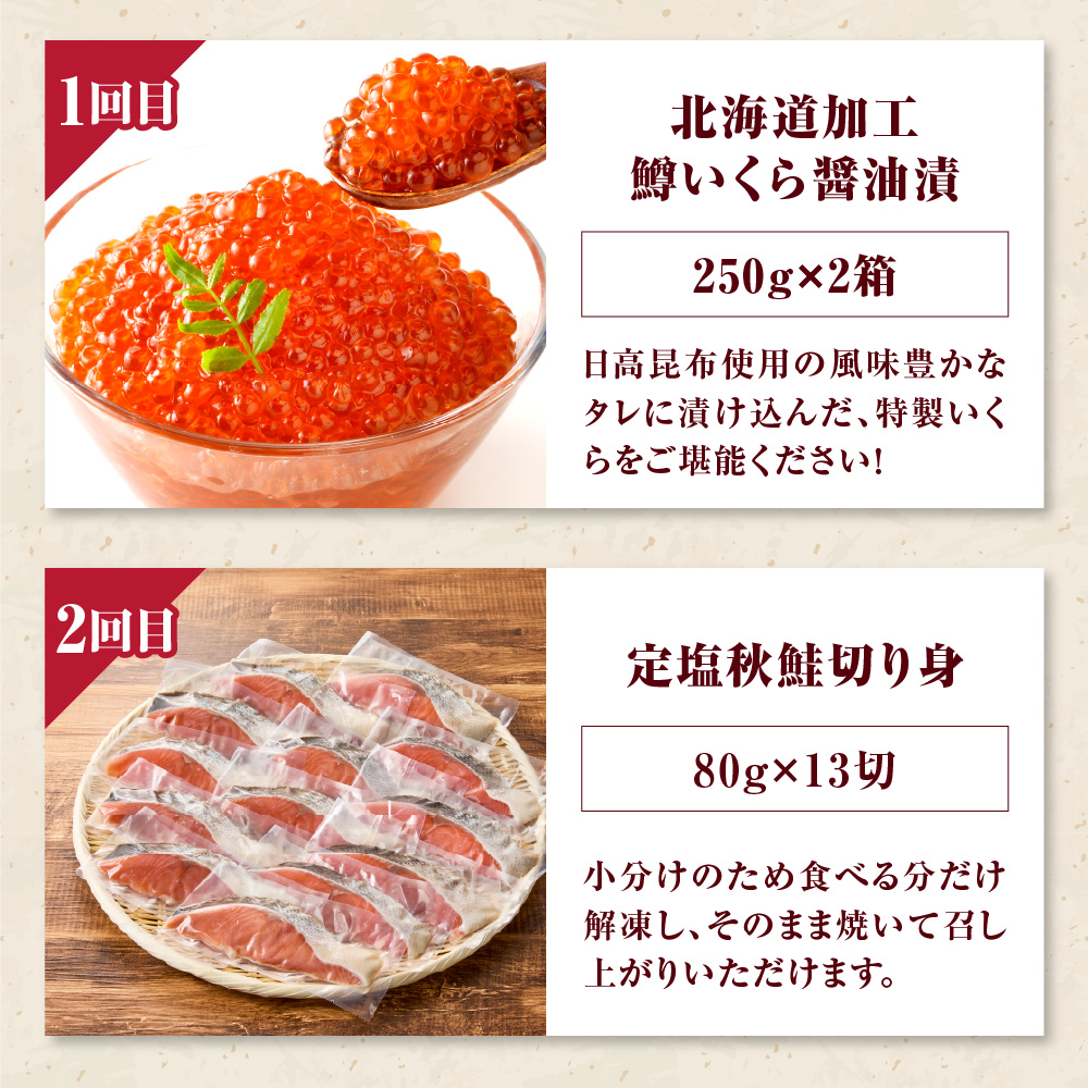 R8.12ヶ月定期便！えりも海鮮バラエティコース【er002-113】（いくら 鱒いくら たこ タコ カニ たらばがに 松前漬け 鮭 シャケ ぶりブリ たらこ 明太子 昆布 だし 魚介 グルメ お取り