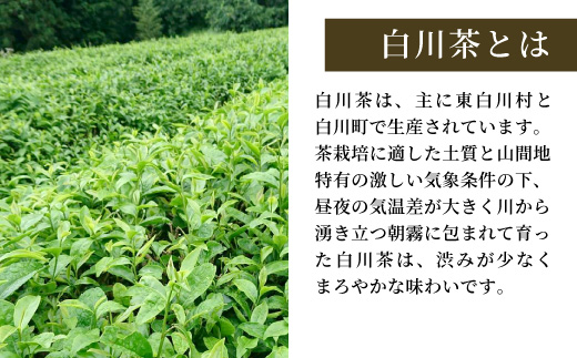 農薬不使用！煎茶 ギフト NO.29 （みどり100g×3 計300g） 敬老の日 常磐園 みどり 日本茶 緑茶 煎茶 茶葉 白川茶 美濃白川茶 農薬不使用栽培茶 お茶 一番茶 春摘み 大容量 岐阜県
