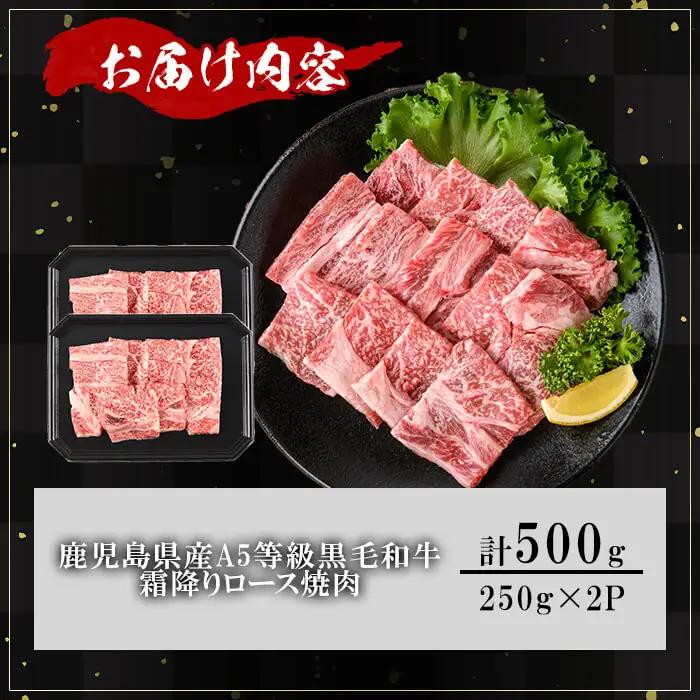 鹿児島県産 A5等級 黒毛和牛 霜降り ロース 焼肉 (計500g・250g×2P) 【KNOT】 A1104