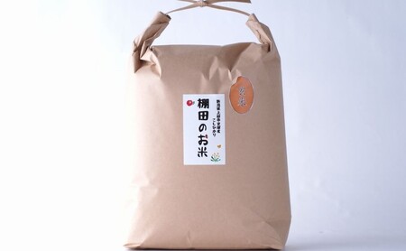 令和7年 新潟県産 棚田米 コシヒカリ 玄米 定期便 60kg 60キロ (5kg×12回) 雪中貯蔵 雪むろ こしひかり お米 こめ 新潟 上越 米 送料無料