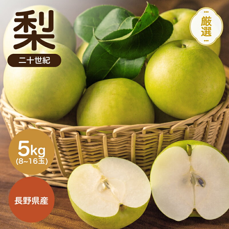 【ふるさと納税】【南信州産】二十世紀 秀品 約5kg 8〜16玉 JAみなみ信州DMセンター飯田市 | 二十世紀 二十世紀梨 梨 ナシ なし フルーツ 果物 ジューシー 信州 南信州 送料無料 ふるさと納税 長野県 飯田市 K22