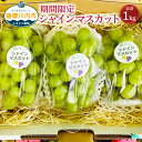 【ふるさと納税】【数量限定】【先行予約】鹿児島県産シャインマスカット 計1kg マスカット ぶどう マスカット ぶどう ブドウ 葡萄 山口観光農園 山口ぶどう園 果物 くだもの フルーツ 産地直送 鹿児島県 薩摩川内市 冷蔵 送料無料