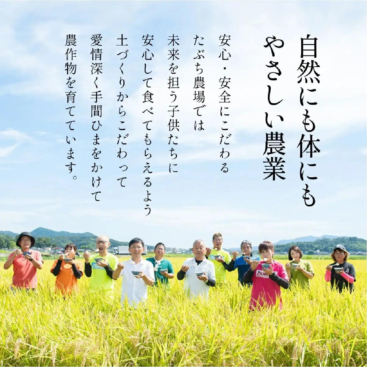 玄米 定期便 新米 丹波篠山産 特別栽培米コシヒカリ 30kg×3回 定期便 玄米
