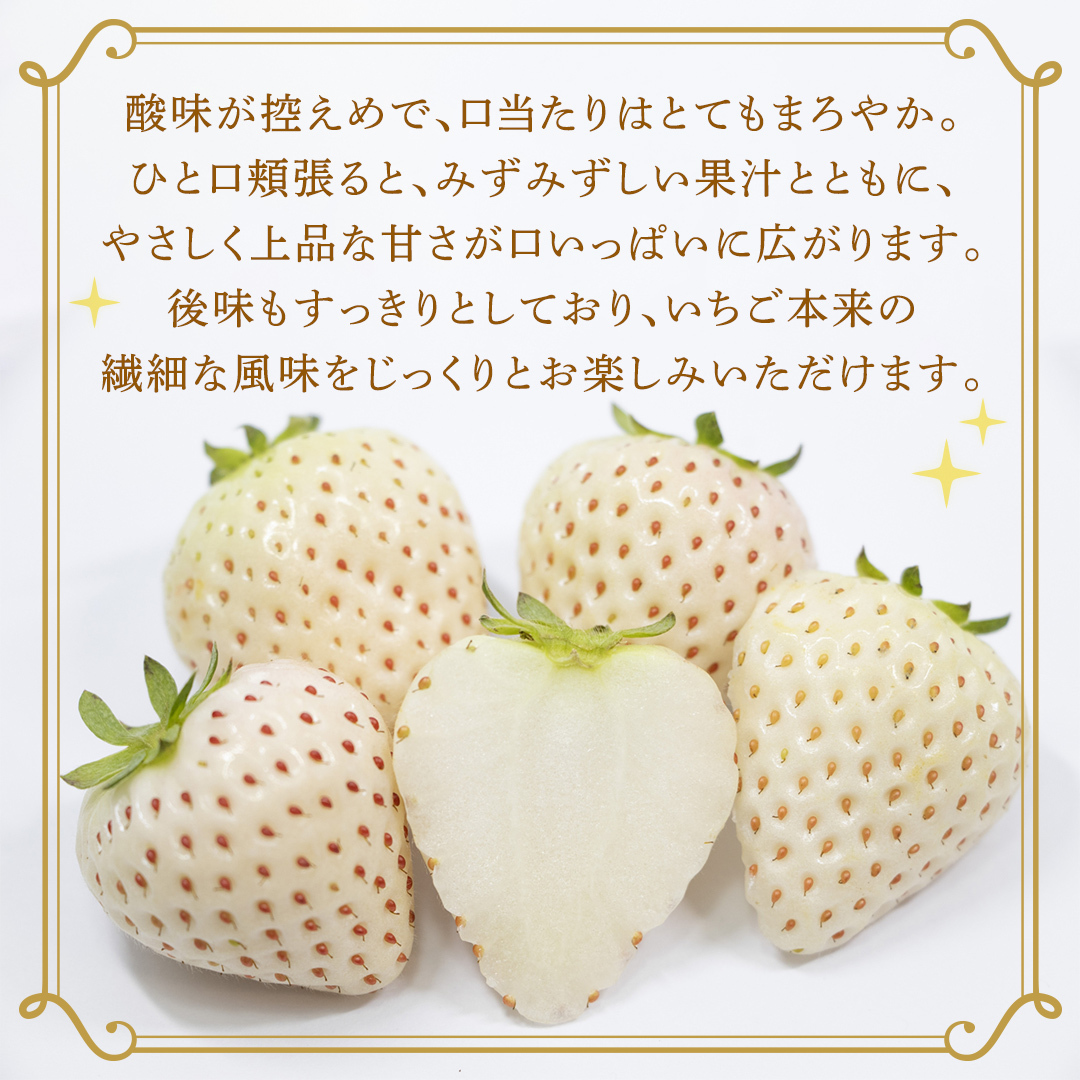 【定期便】白いちご 約200g×4パック 3ヶ月連続お届け便【2027年1月から発送開始】（茨城県共通返礼品 [いちご]：城里町産） 茨城県 県産 人気 厳選 果物 くだもの 旬 旬の果物 旬のフルー