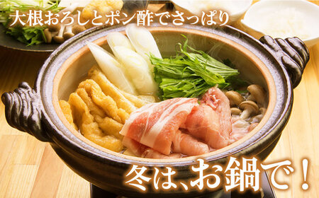 【全3回定期便】五島豚 しゃぶしゃぶ500g 五島市 / ニク勝 [PBF015] 豚肉 国産 しゃぶしゃぶ 豚肉 国産 しゃぶしゃぶ 豚肉 国産 しゃぶしゃぶ 豚肉 国産 しゃぶしゃぶ 豚肉 国産 