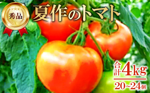 A-166 朝採り「真赤な益田SUNトマト」秀品20〜24玉入【初夏】