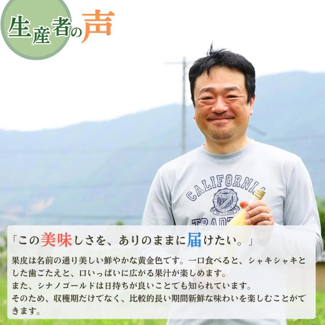 【2026年先行予約】りんご シナノゴールド 12~20玉 約5kg|シナノゴールド