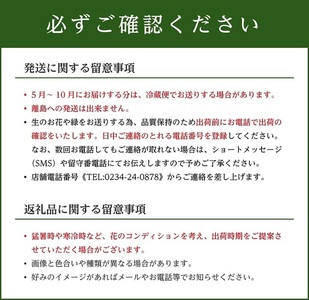 SL0265　カビンに飾る緑と枝物と花 「LIVING FLOWER」