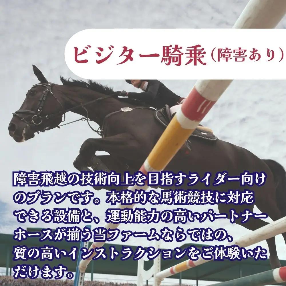 【ふるさと納税】ビジター騎乗 ＜障害あり＞  1回分 北海道安平町〈早来エクワインファーム〉馬 サラブレッド ポニー 競馬 馬術 体験