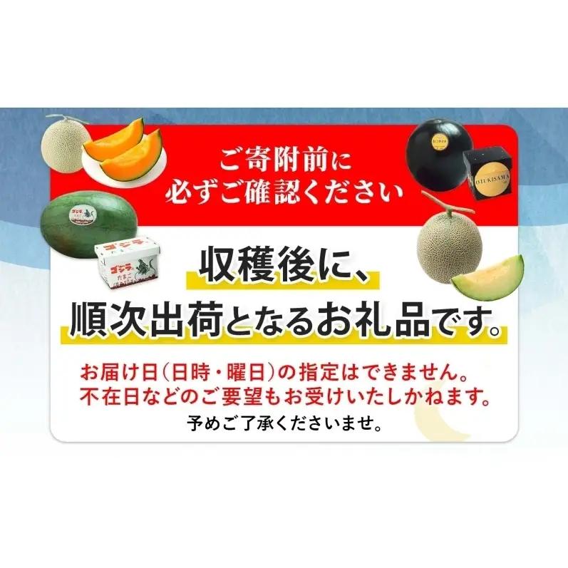 【2027年夏発送】北海道 赤肉メロン 北の女王 秀品 約1.6kg×2玉 計約3.2kg