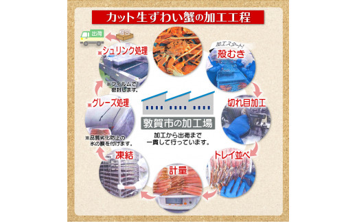 《12月31日まで指定配送可》【お刺身OK】カット生ずわい蟹 700g（総重量950g前後）×1箱 [024-a020]