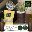 【ふるさと納税】三河焼 植木鉢 ハーモニーブラウン 4号 テラチップいぶし プランター お手軽 植物栽培セット 陶器 三河 インテリア 三河陶器 観葉植物 癒やし 園芸 テラチップ いぶし お取り寄せ 丸俊セラミック 愛知県 碧南市 送料無料