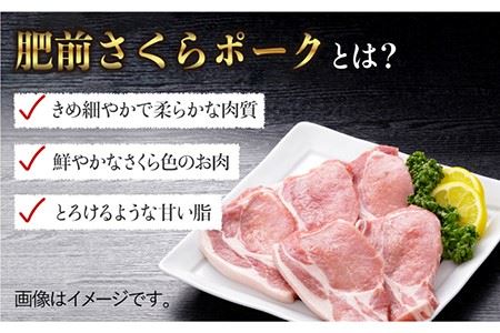 【佐賀のブランド豚・大容量】肥前さくらポーク とんかつ用ロース1,000g（100g×10枚）豚肉 ロース 厚切り トンカツ[FBE019]