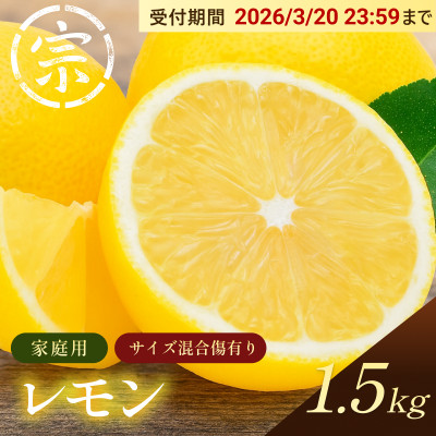 【宗方印】【数量限定】レモン 約1.5kg(家庭用) 【K003620K1.5】【1676981】