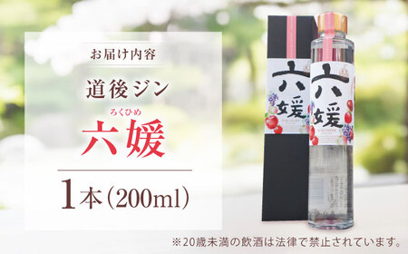 水口酒造 道後ジン「六媛」200ml　クラフトジン スピリッツ 愛媛