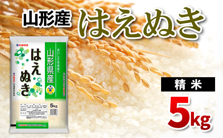 
            山形県産 はえぬき 精米 5kg FY24-533
          