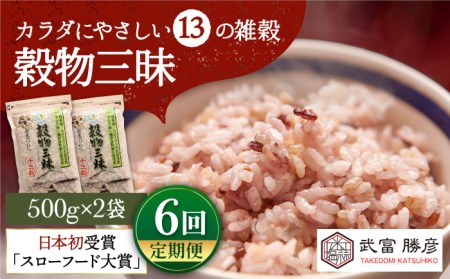 【全6回定期便】穀物三昧 500g×2袋【葦農】雑穀米 古代米 黒米 麦 ブレンド 国産 [HAJ023]